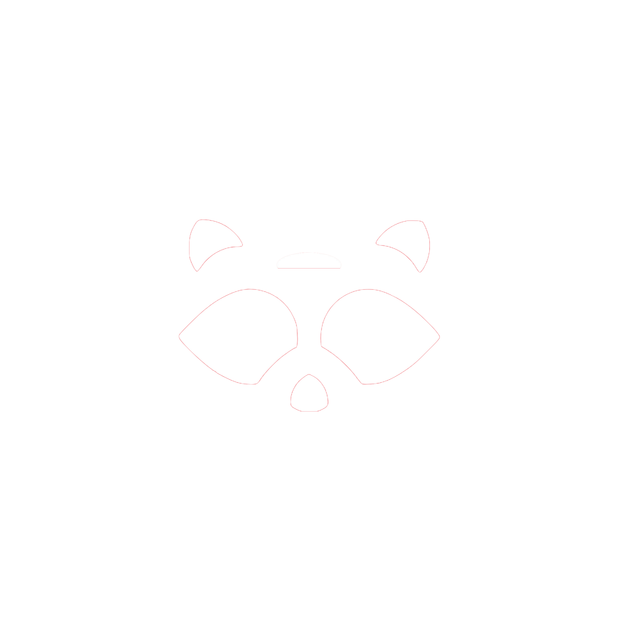 The Raccoon Logo